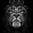 Arsenchik_Macalister